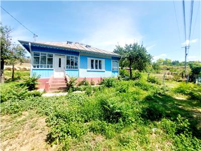 Casa Bătrnească Tiganasi, 25km de Iași, 3048mp intravilan - 35.000 euro