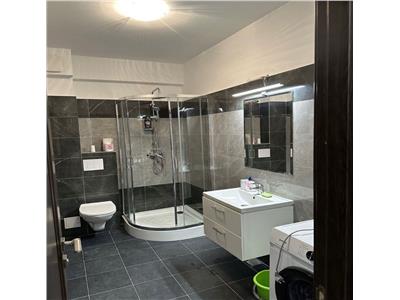 Apartament de inchiriat cu o camera, zona Palas Mall