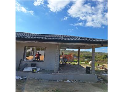 Casa de vanzare Visan Barnova 3 camere