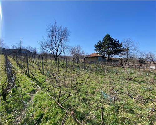 Casa Iasi Costuleni + 2900 mp intravilan