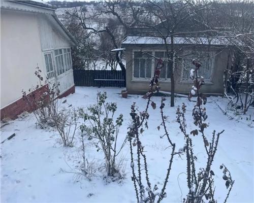 Casa bagtraneasca Comarna Iasi  + teren 2300 mp