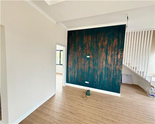 Casa Individuala Visan, 5 camere, 2 bai, beci, intabulat?  168.000 euro