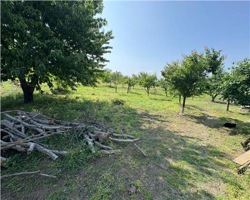 Casa de vanzare in zona Tomesti + 1300 mp teren 54.990 euro