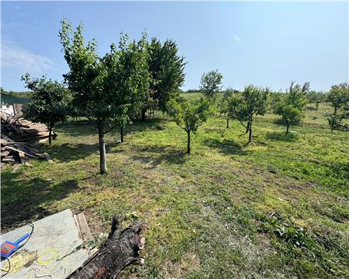 Casa de vanzare in zona Tomesti + 944 mp teren , MOBILATA/UTILATA 150.000 euro